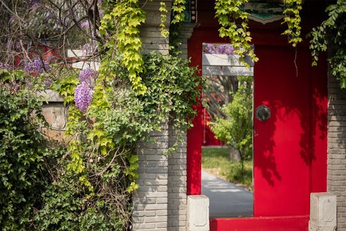 例如“大使讲座”系列活动